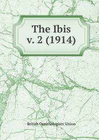 The Ibis
