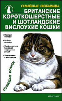Британские короткошерстные и шотландские вислоухие кошки - (Семейные любимцы)