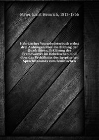 Hebraisches Wurzelworterbuch nebst drei Anhangen uber die Bildung der Quadrilitern, Erklarung der Fremdworter im Hebraischen, und uber das Verhaltniss des agyptischen Sprachstammes zum Semitischen