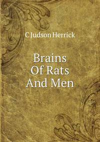 Brains Of Rats And Men