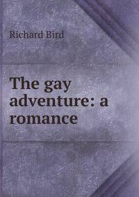 The gay adventure: a romance