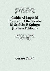 Guida Al Lago Di Como Ed Alle Strade Di Stelvio E Spluga (Italian Edition)