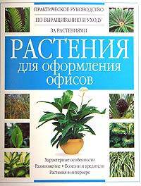 Растения для оформления офисов: Практическое руководство по выращиванию и уходу за растениями