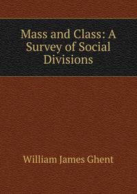 Mass and Class: A Survey of Social Divisions