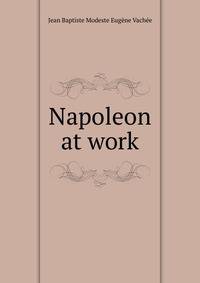 Napoleon at work
