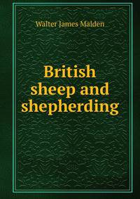 British sheep and shepherding