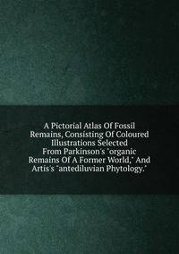 A Pictorial Atlas Of Fossil Remains, Consisting Of Coloured Illustrations Selected From Parkinson's "organic Remains Of A Former World," And Artis's "antediluvian Phytology."