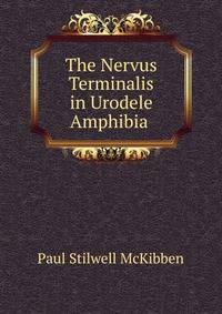 The Nervus Terminalis in Urodele Amphibia .