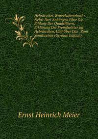 Hebraisches Wurzelworterbuch: Nebst Drei Anhangen Uber Die Bildung Der Quadrilitern, Erklarung Der Fremdworter Im Hebraischen, Und Uber Das . Zum Semitischen (German Edition)