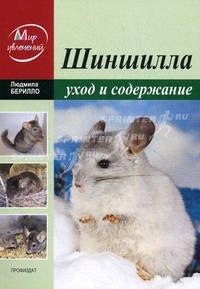 Шиншилла. Уход и содержание в домашних условиях