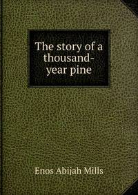 The story of a thousand-year pine