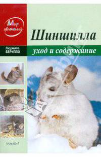 Шиншилла. Уход и содержание в домашних условиях