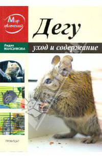Дегу. Уход и содержание