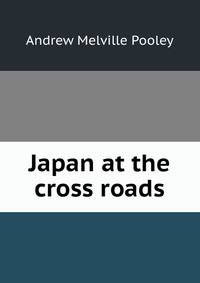 Japan at the cross roads