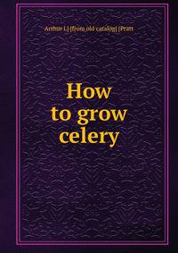 How to grow celery