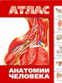 Атлас анатомии человека.