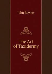 The Art of Taxidermy