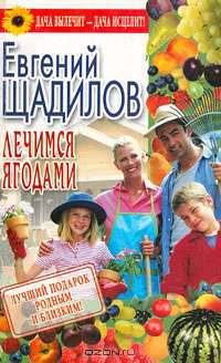 Лечимся ягодами