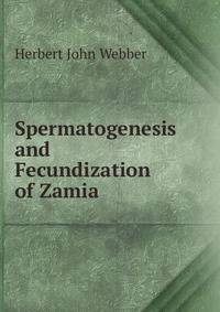 Spermatogenesis and Fecundization of Zamia