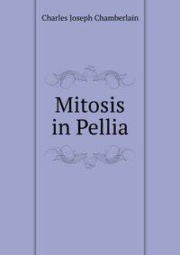 Mitosis in Pellia