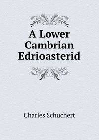 A Lower Cambrian Edrioasterid