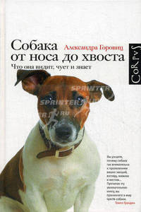 Собака от носа до хвоста: что она видит, чует и знает