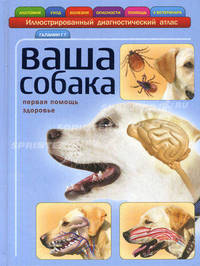 Ваша собака.