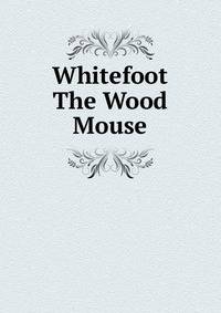 Whitefoot The Wood Mouse