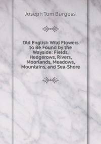 Old English Wild Flowers to Be Found by the Wayside: Fields, Hedgerows, Rivers, Moorlands, Meadows, Mountains, and Sea-Shore