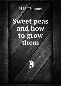 Sweet peas and how to grow them