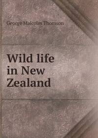 Wild life in New Zealand