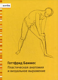 Пластическая анатомия и визуальное выражение