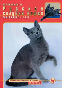 Русская голубая кошка. содержание и уход (цвет.)