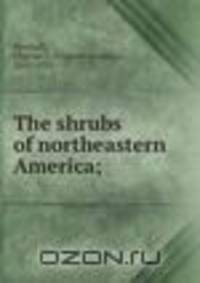 The shrubs of northeastern America;