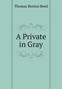 A Private in Gray
