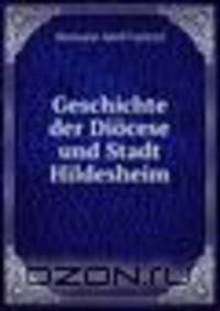 Geschichte der Diocese und Stadt Hildesheim