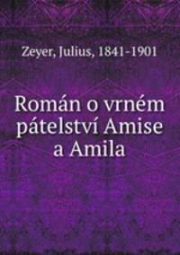Roman o vrnem patelstvi Amise a Amila