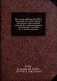 The woods and minerals of New Brunswick microform : being a descriptive catalogue of the trees, shrubs, rocks and minerals of the province, available for economic purposes