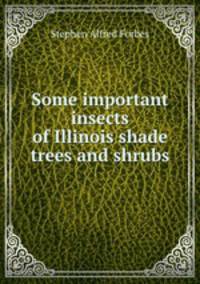 Some important insects of Illinois shade trees and shrubs