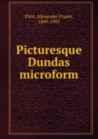 Picturesque Dundas microform