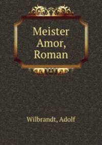 Meister Amor, Roman