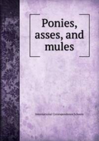 Ponies, asses, and mules