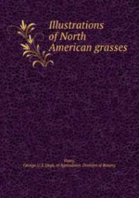 Illustrations of North American grasses