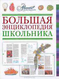 Большая энциклопедия школьника