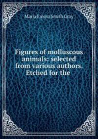 Figures of molluscous animals: selected from various authors. Etched for the .