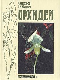 Орхидеи