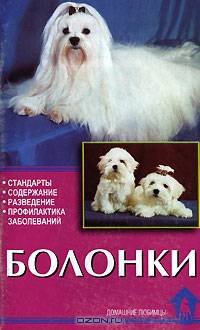 Болонки. Стандарты. Содержание. Разведение. Профилактика заболеваний