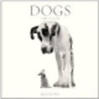 Dogs. 2013 Wall Calendar