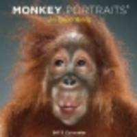 Monkey Portraits 2013 Wall Calendar