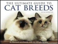 Ultimate Guide To Cat Breeds